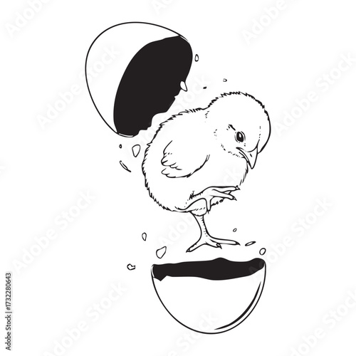 Hatching Chick Line Art Illustration - Black and White Drawing of Baby Bird Emerging from Egg