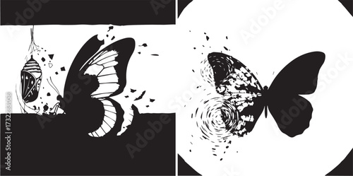 Transformation of Butterfly in Black and White Illustration