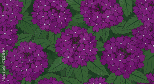 Purple Verbena clusters amidst green leaves, forming a dense background