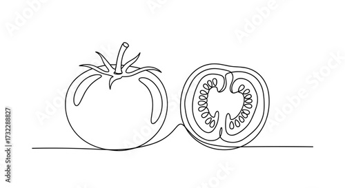 One Line Drawing of Tomato Whole and Cross Section