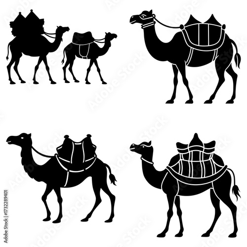 Illustration showing four black silhouette camels with saddles and harnesses in various poses and arrangements