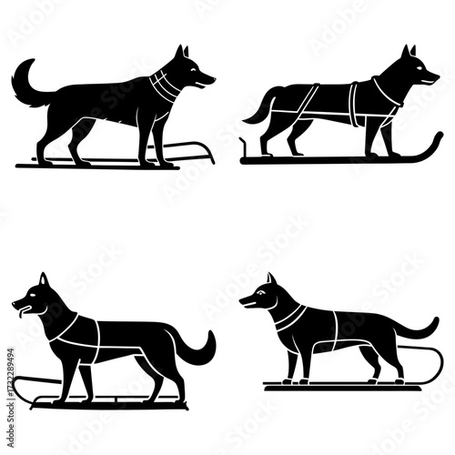 Four sled dogs in black silhouette pulling sleds on a white background in a vector illustration