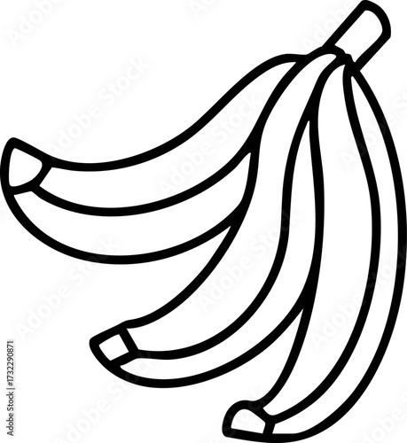 bunch of bananas from brazil