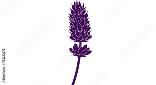 Purple silhouette of a spiky flowering plant on white
