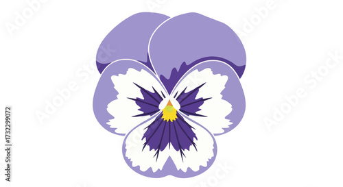 Vector pansy flower with purple, white, and yellow color scheme