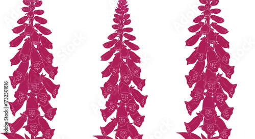 Three pink stylized foxglove stalks with bell-shaped flowers, drawn in a simple, elegant style
