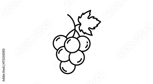 Elegant contour depiction of fresh grapes and foliage over a clean background design