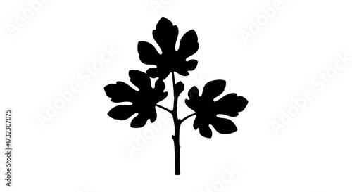 Silhouette of a fig tree sapling with detailed leaves conveys growth and minimalism