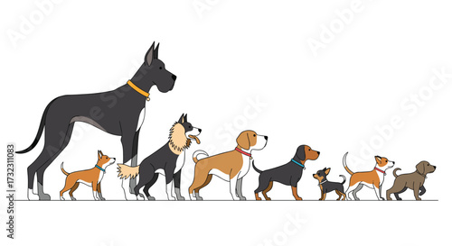 A diverse collection of dogs of varying sizes and breeds.