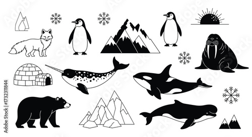 Arctic wildlife and icy landscapes collection.
