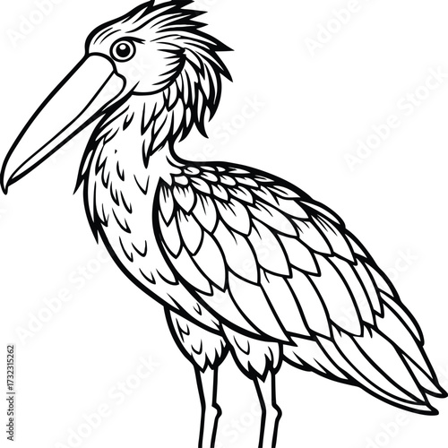 Black crowned crane vector illustration of a wild bird with black feathers, beak, and red markings