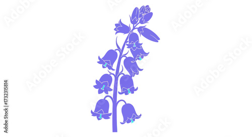 A periwinkle bluebell flower stalk