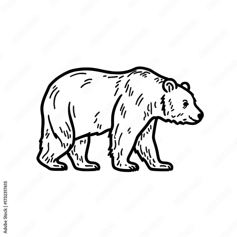 Fototapeta premium Bear, the powerful animal of the forest