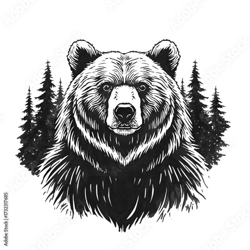 Bear, the powerful animal of the forest