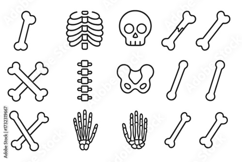 Human skeleton parts line icon set. Includes skull, rib cage, spine, pelvis, hand skeleton, and broken bone. Medical, anatomy, and orthopedic vector symbols. Editable stroke.
