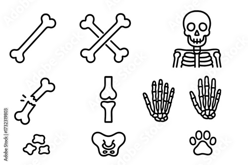 Bones and skeleton line icon set. Human anatomy, broken bone, joint, skull, skeletal hand, pelvis. Orthopedic, medical, or Halloween concept vector illustration collection.