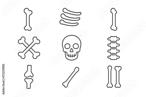Human bones and skeleton line icon set. Anatomy outline symbols collection. Skull, spine, ribs, joint, crossbones. Simple medical orthopedic vector cartoon illustration.