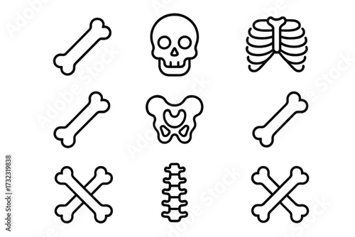 Bones and skeleton line icon set for human anatomy or osteology. Vector symbols of skull, rib cage, pelvis, spine, and crossbones. Medical and orthopedic editable icons.