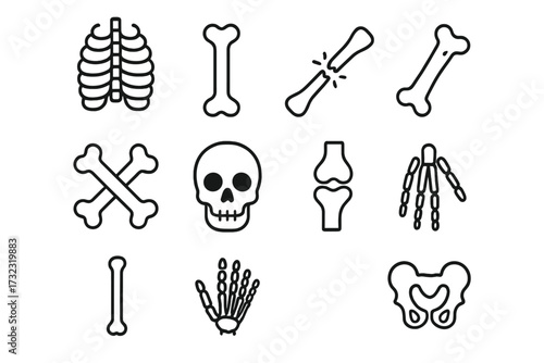 Human bones line icon set. Anatomy skeleton symbol collection. Skull, fracture, joint, pelvis, rib cage. Orthopedic, medical, and healthcare vector pictogram. Editable stroke.