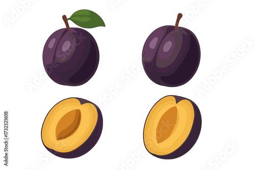 Plum fruit set vector illustration. Collection of whole and cut half fruit with leaf and seed. Fresh, ripe, juicy purple plums for healthy organic food, vegetarian diet concept.