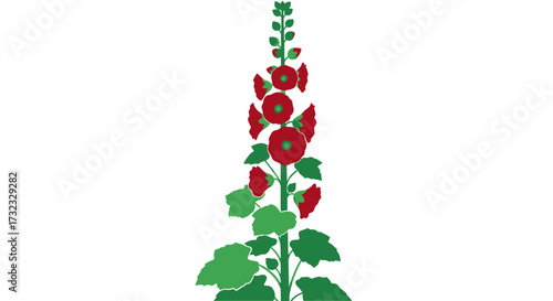 Konstfotografi Red & green hollyhock blossom
