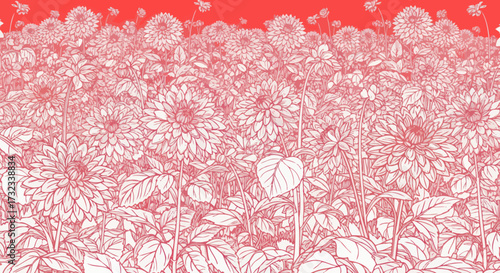 Dahlia field with red outlines and background