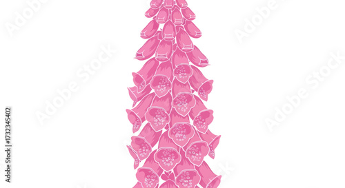 Pink foxglove stalk