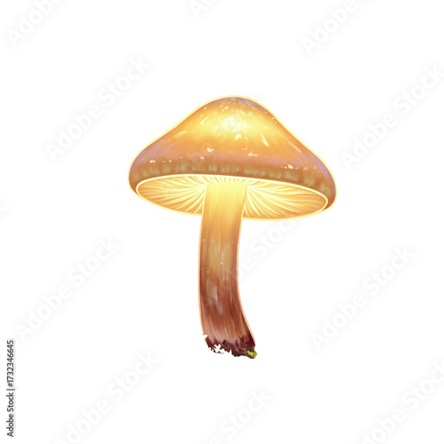 Illuminated mushroom cap with detailed stem isolated on white background