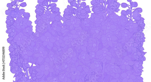 Floral field illustration, light purple blossoms and outlines