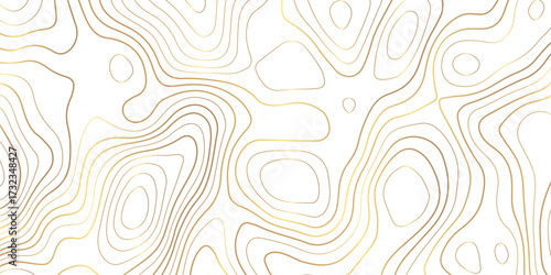 Topographic map background with geographic grid for hiking and mountain sport. luxury topographic wavy pattern and geographic grid map design. paper texture Imitation of a geographical map shade.