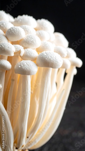 Wallpaper Mural Close-up of white mushrooms Torontodigital.ca