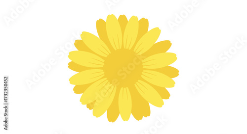 Simple, flat yellow flower. Two layers of smooth, rounded petals surround a plain yellow center