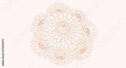 Beige flower sketch on soft background