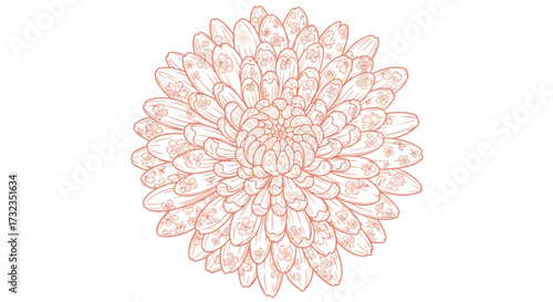 Elegant dahlia-like bloom in shades of peach and cream, finely detailed, filling the frame