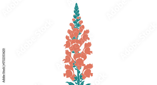 A teal and peach colored stylized snapdragon flower stalk