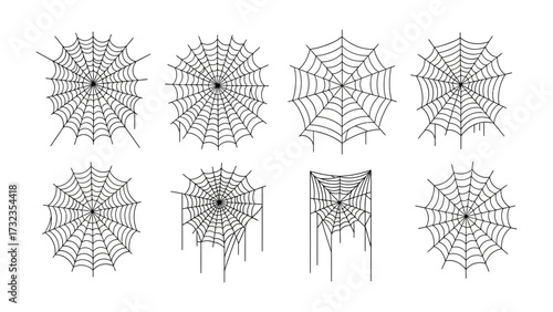 Web of Mystery: A collection of intricately designed spider webs against a blank canvas. Explore the dark and mysterious world of arachnids.