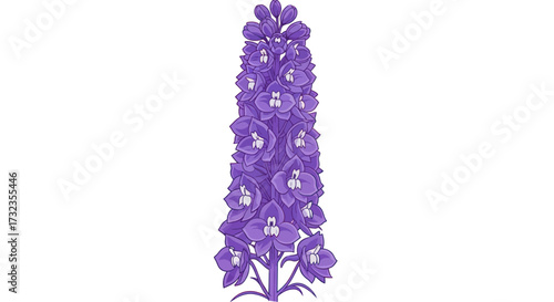 Single stem of a purple flower