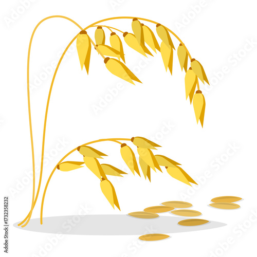 3D Isometric Flat Vector Set of Cereals , Grain Plants. Item 3