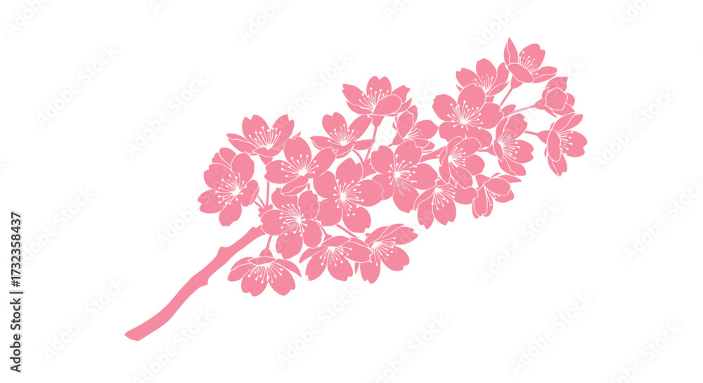 Fototapeta premium Pink cherry blossom branch