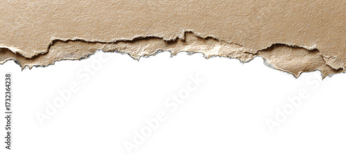 A weathered cardboard strip reveals a tear, a visual exploration of texture and potential, ideal for design backgrounds.