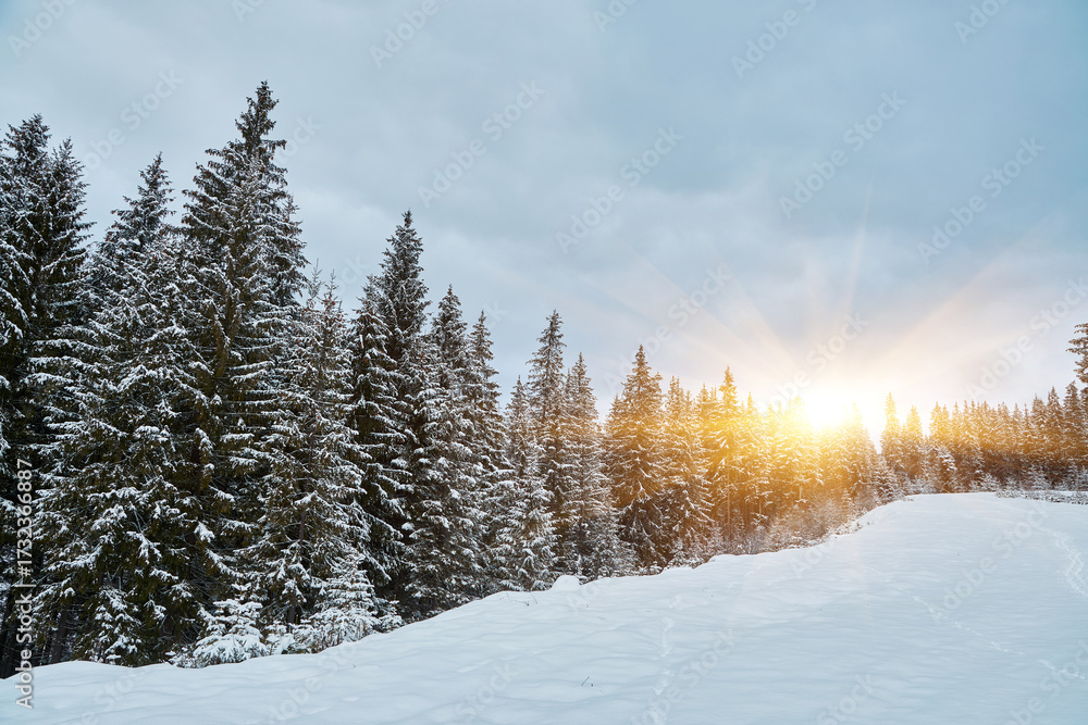 Fototapeta premium Scenic mountain view from a ski trail in winter.