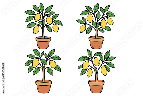 Citrus trees in pots set. Vector hand-drawn illustration of potted lemon plants. Cartoon doodle style for concepts of organic fruit, gardening, home decor and healthy food.