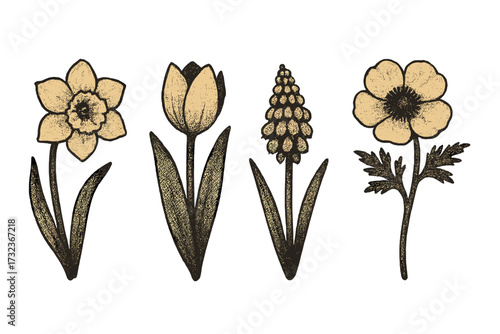 Vintage spring flowers set in retro dotted halftone style, herbarium illustration with grain texture, trendy wildflower vector cartoon, nostalgic floral design