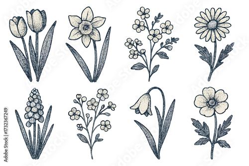 Retro halftone spring flowers set with vintage grain texture, herbarium style wildflowers vector illustration, dotted nature botanicals, trendy floral cartoon artwork