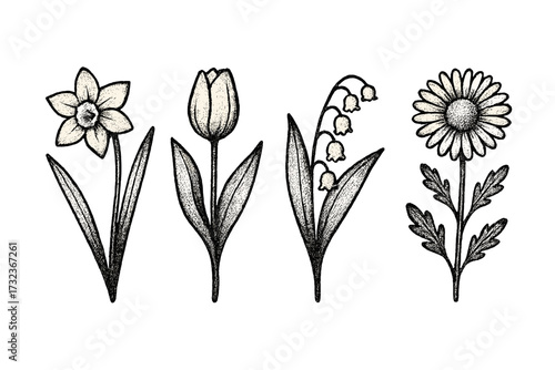 Vintage spring flowers set botanical herbarium in retro dotted halftone style with grain texture, trendy wildflower vector illustration collection of daffodil, tulip, lily of the valley, and chamomile