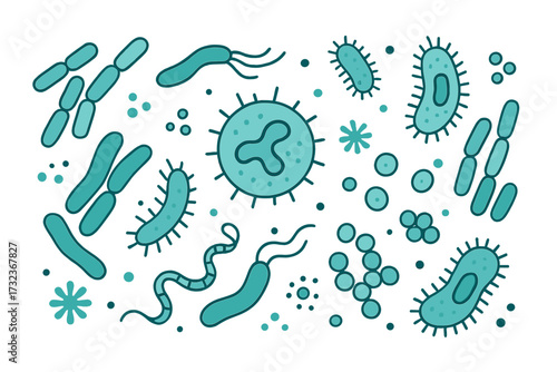 Microbiome vector banner illustration with probiotics and prebiotics. Good bacteria for gut health. Intestinal flora, lactic acid bacteria, and microorganisms flat concept design.