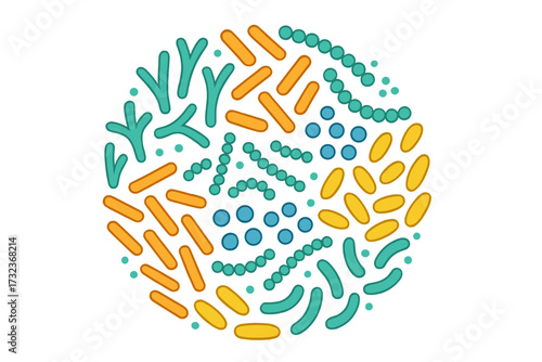 Microbiome round concept with probiotics. Bifidobacterium, lactobacillus, streptococcus thermophilus, lactococcus. Good bacteria for healthy gut flora. Prebiotic microorganism.