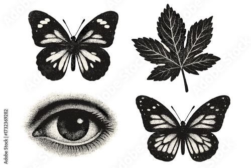 Retro natural elements collection with photocopy grain effect. Negative images of butterflies, leaf, and an eye. Y2K acid graphics vector set for trendy design with stippling.