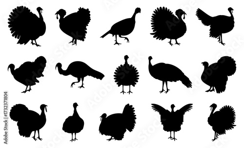 Turkey bird silhouette in black. Set of turkeys silhouette isolated for Thanksgiving Day. Turkey icons