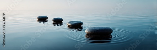 Stones stepping across water with ripple effect in natural environment